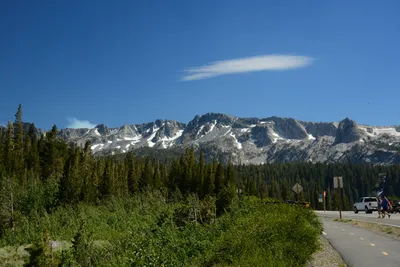 DSC_0068 (Large).JPG